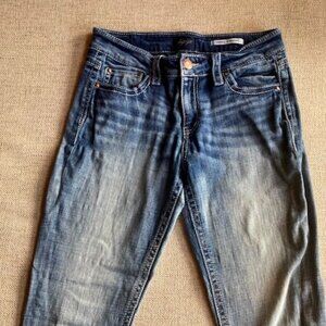 Daytrip Virgo Straight Super Soft Jeans, size 28R